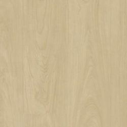 5109 Maple